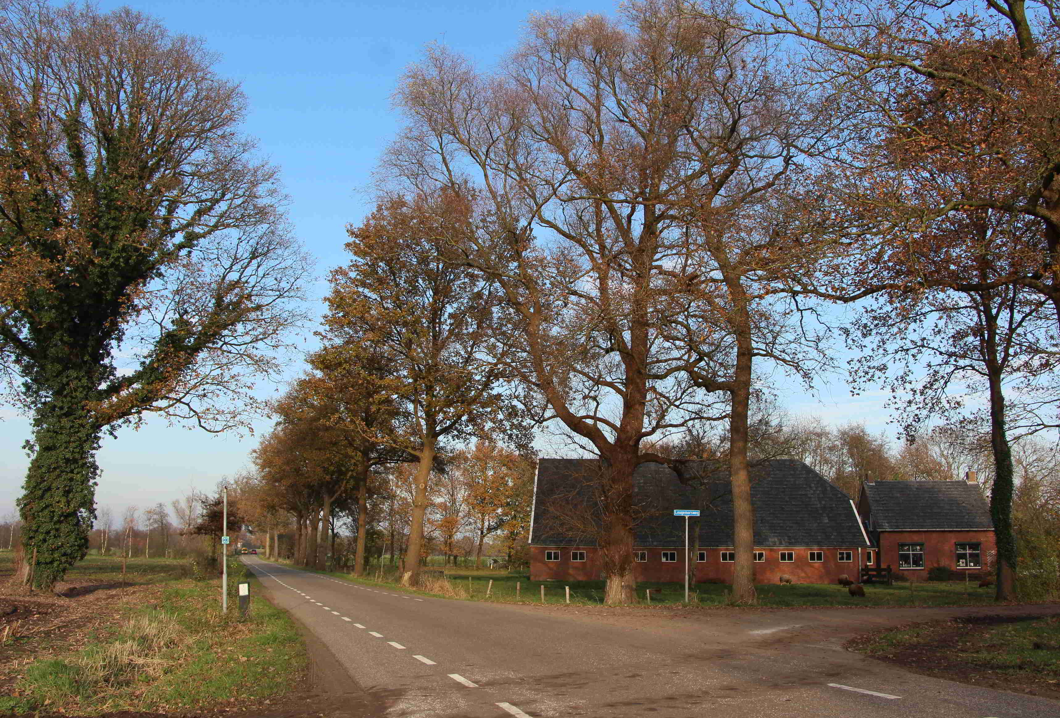 Het erve Biezebeek in Olden Eibergen op de hoek Stokkersweg-Leugemorsweg. De Stokkersweg (voorgrond) is ca. 1960 door de tuin aangelegd. De gracht was tot ca. 1980 ook aan de westkant (r) nog zichtbaar. Diagonaal onder de wegsplitsing loopt een oud beekdal. (foto auteur)